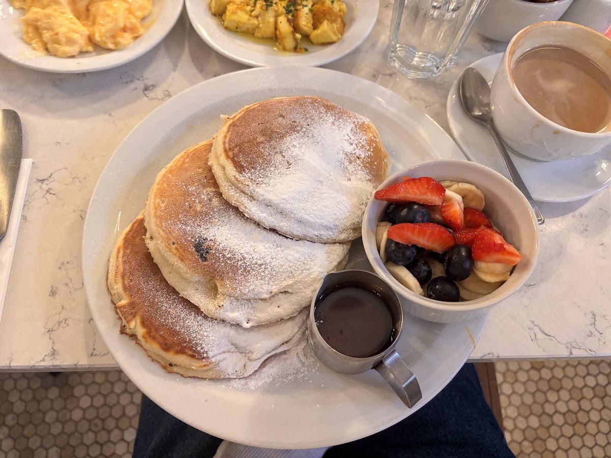 Moose — Cafe